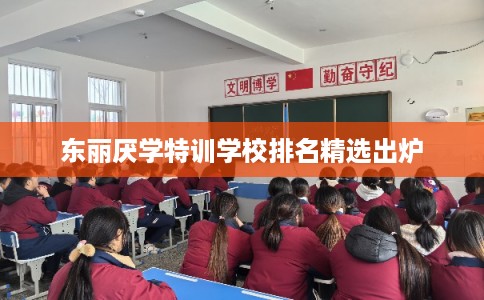 东丽厌学特训学校排名精选出炉