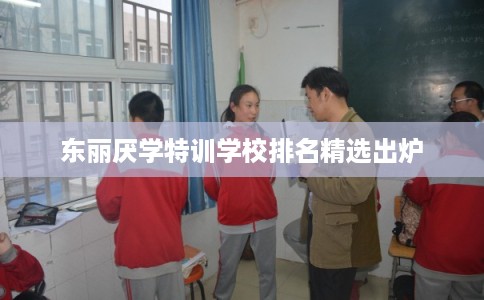 东丽厌学特训学校排名精选出炉