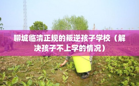 聊城临清正规的叛逆孩子学校（解决孩子不上学的情况）