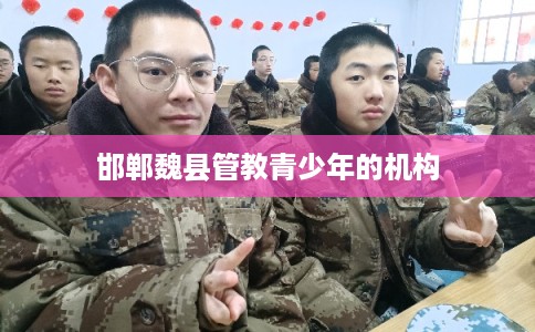 邯郸魏县管教青少年的机构