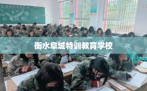 衡水阜城特训教育学校