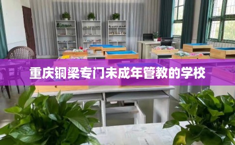 重庆铜梁专门未成年管教的学校