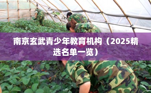 南京玄武青少年教育机构（2025精选名单一览）