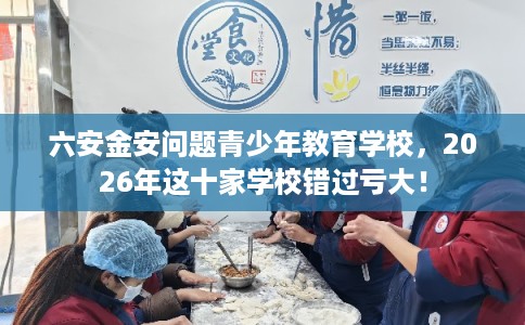 六安金安问题青少年教育学校，2026年这十家学校错过亏大！