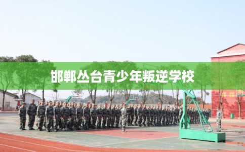 邯郸丛台青少年叛逆学校