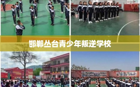 邯郸丛台青少年叛逆学校