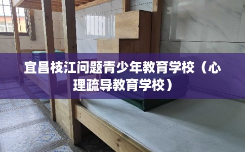 宜昌枝江问题青少年教育学校（心理疏导教育学校）