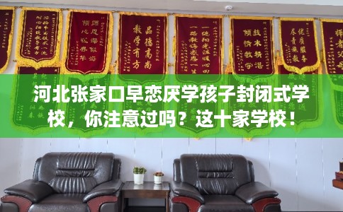 河北张家口早恋厌学孩子封闭式学校,你注意过吗?这十家学校! 河北张家口早恋厌学孩子封闭式学校,你注意过吗?这十家学校!