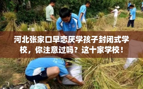 河北张家口早恋厌学孩子封闭式学校，你注意过吗？这十家学校！