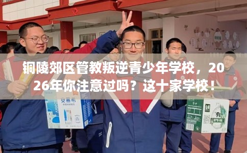 铜陵郊区管教叛逆青少年学校，2026年你注意过吗？这十家学校！