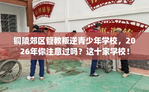 铜陵郊区管教叛逆青少年学校，2026年你注意过吗？这十家学校！