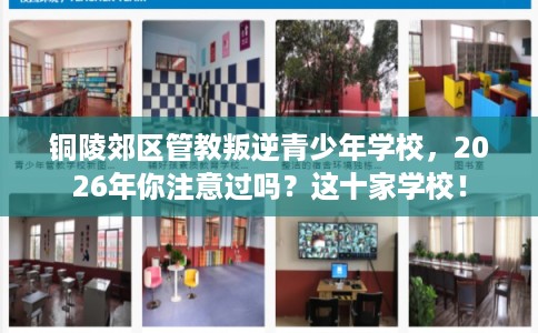 铜陵郊区管教叛逆青少年学校，2026年你注意过吗？这十家学校！
