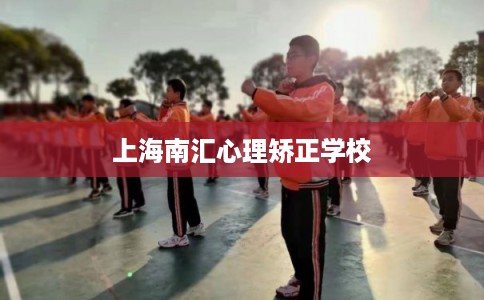 上海南汇心理矫正学校 上海南汇心理矫正学校