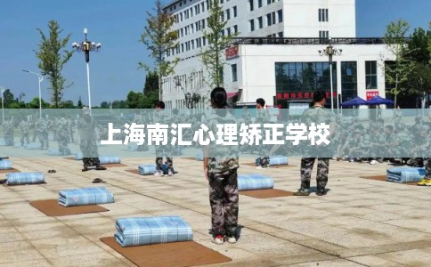 上海南汇心理矫正学校 上海南汇心理矫正学校