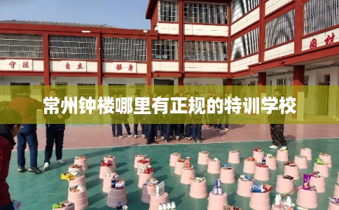 常州钟楼哪里有正规的特训学校 常州钟楼哪里有正规的特训学校