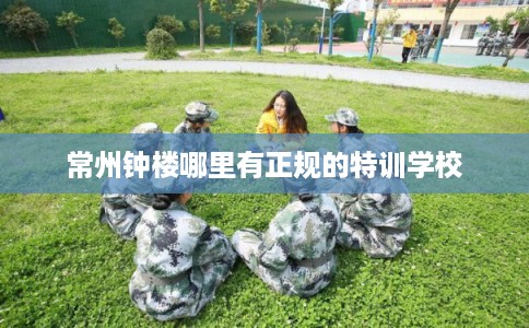 常州钟楼哪里有正规的特训学校 常州钟楼哪里有正规的特训学校