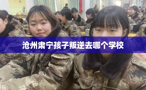 沧州肃宁孩子叛逆去哪个学校