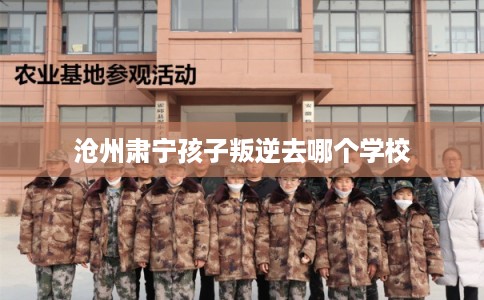 沧州肃宁孩子叛逆去哪个学校