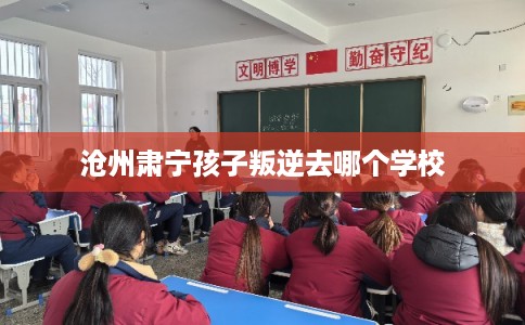 沧州肃宁孩子叛逆去哪个学校
