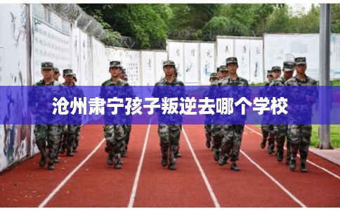 沧州肃宁孩子叛逆去哪个学校
