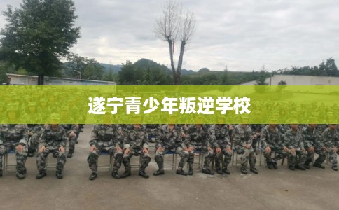 遂宁青少年叛逆学校