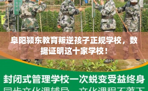 阜阳颍东教育叛逆孩子正规学校，数据证明这十家学校！