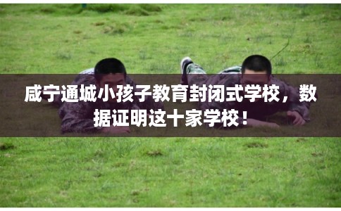 咸宁通城小孩子教育封闭式学校，数据证明这十家学校！