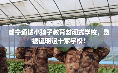 咸宁通城小孩子教育封闭式学校，数据证明这十家学校！