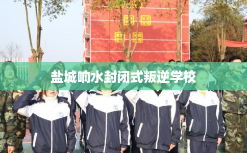 盐城响水封闭式叛逆学校