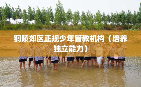 铜陵郊区正规少年管教机构（培养独立能力）