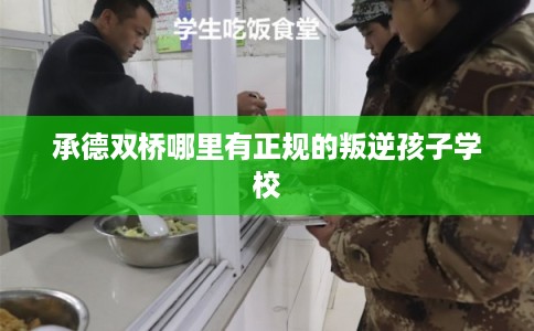 承德双桥哪里有正规的叛逆孩子学校