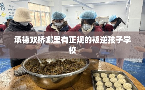 承德双桥哪里有正规的叛逆孩子学校