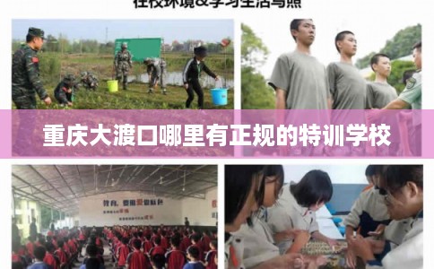 重庆大渡口哪里有正规的特训学校
