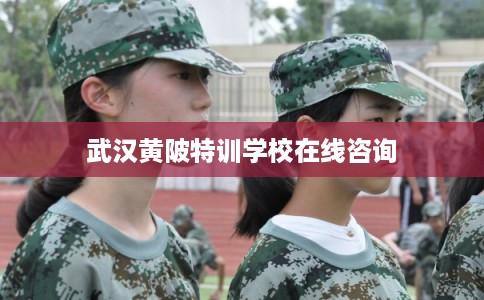 武汉黄陂特训学校在线咨询
