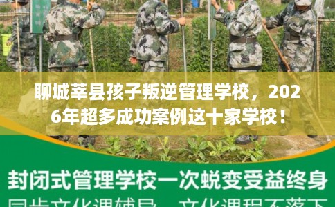 聊城莘县孩子叛逆管理学校，2026年超多成功案例这十家学校！