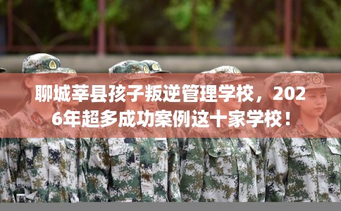 聊城莘县孩子叛逆管理学校，2026年超多成功案例这十家学校！
