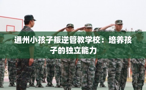 通州小孩子叛逆管教学校:培养孩子的独立能力 通州小孩子叛逆管教学校:培养孩子的独立能力