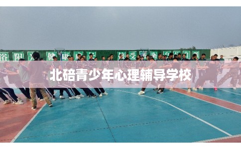 北碚青少年心理辅导学校