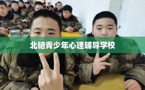 北碚青少年心理辅导学校