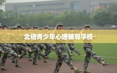 北碚青少年心理辅导学校