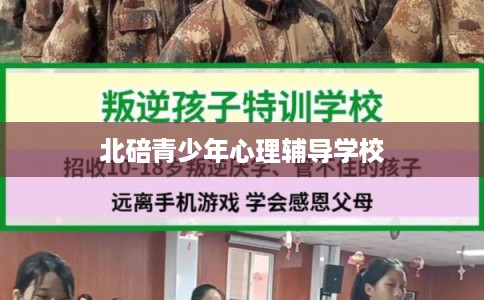 北碚青少年心理辅导学校