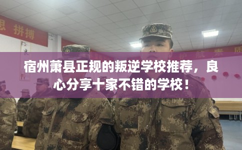 宿州萧县正规的叛逆学校推荐,良心分享十家不错的学校! 宿州萧县正规的叛逆学校推荐,良心分享十家不错的学校!