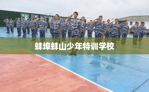蚌埠蚌山少年特训学校