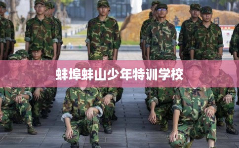 蚌埠蚌山少年特训学校