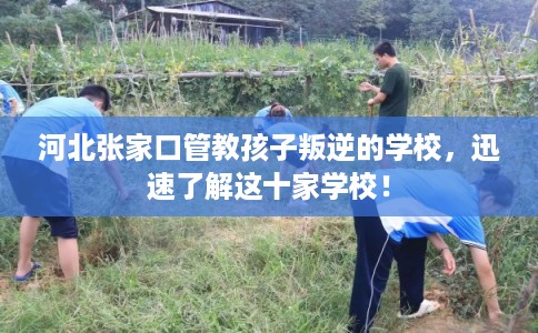 河北张家口管教孩子叛逆的学校，迅速了解这十家学校！
