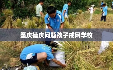 肇庆德庆问题孩子戒网学校 肇庆德庆问题孩子戒网学校