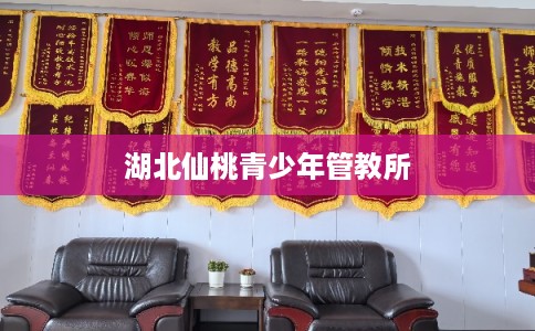 湖北仙桃青少年管教所 湖北仙桃青少年管教所