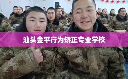汕头金平行为矫正专业学校