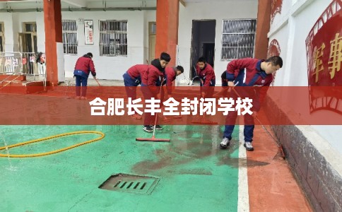 合肥长丰全封闭学校 合肥长丰全封闭学校