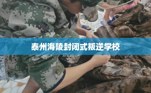 泰州海陵封闭式叛逆学校